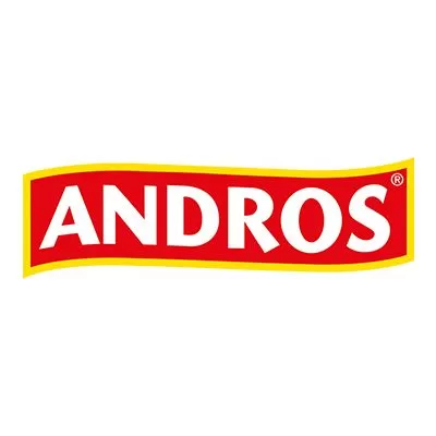 ANDROS , AGENT PC SECURITE H/F